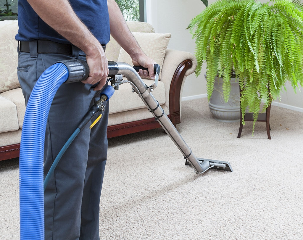Professional House Cleaning at Dial a Cleaning